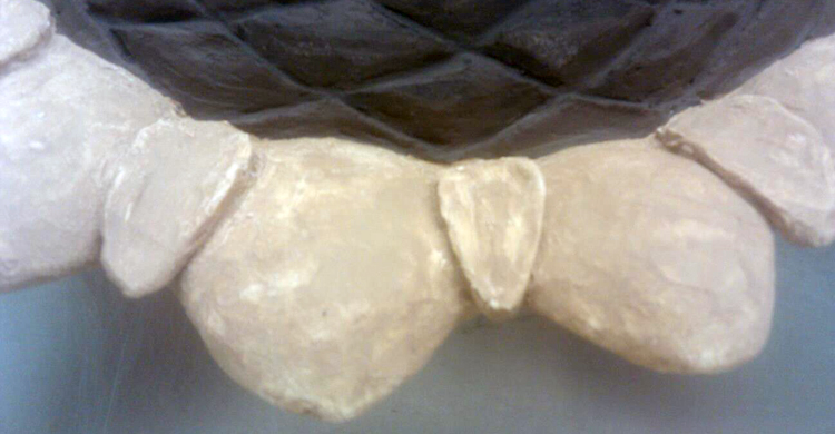 Ceramic Sculpture Bird Bath Sunflower